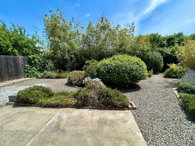Building Photo - Spacious 3-Bedroom Home in Southtown Vacav...