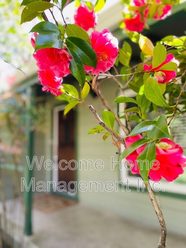 Building Photo - 2561 Olympic Blvd