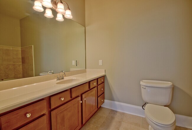 Building Photo - 335 Birkdale Dr