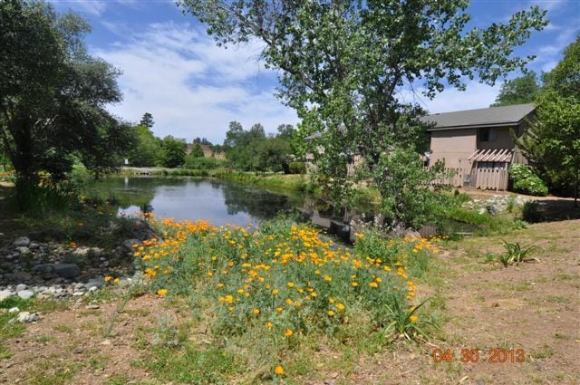 Additional photo of the Pond in Auburn One - 13059 Lincoln Way