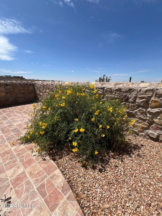 Building Photo - 6700 Hermoso Del Sol Dr