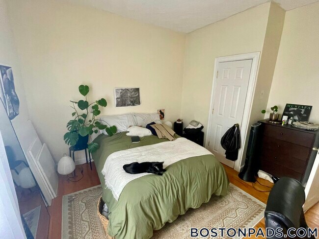 Building Photo - 40 Litchfield St