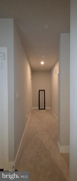 Building Photo - 2800 Big Bear Terrace