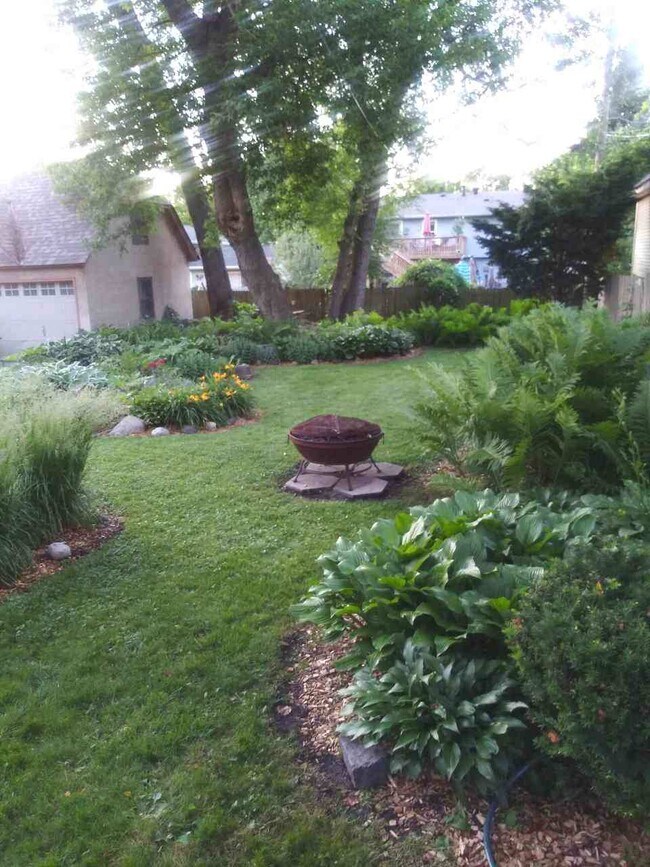 Backyard - 589 Marshall Ave