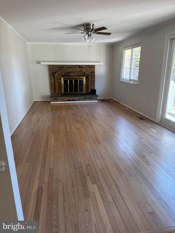 Building Photo - 7532 Buena Vista Terrace