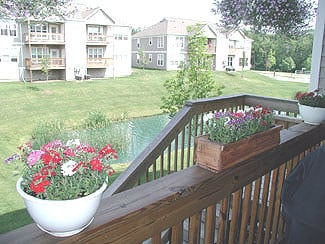 Back Deck - 1483 Fox Pointe Cir