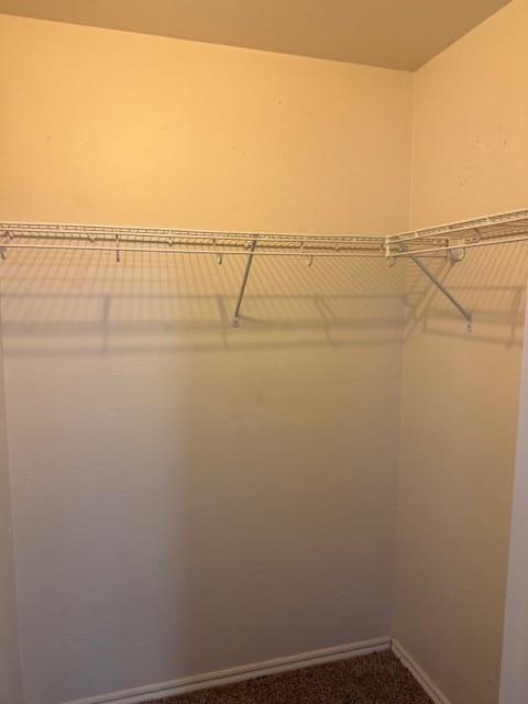 Building Photo - 1116 Brandywine Ln