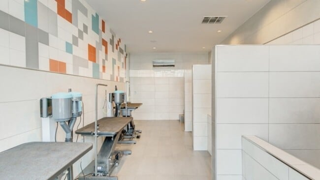 Building Photo - 3111 N Houston St