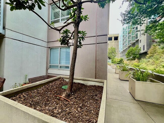 Building Photo - Rare luxury downtown condo w/parking, pool, hot tub and roof deck w/Bay Bridge Views!