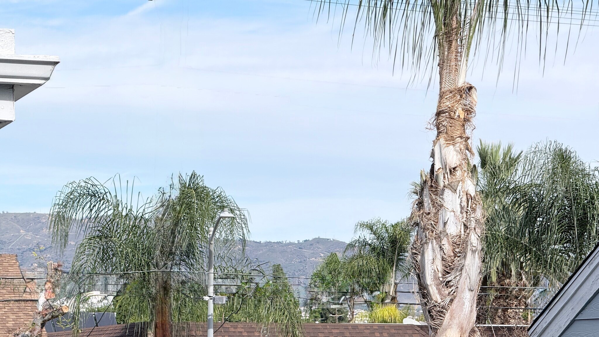 Building Photo - 20930 Parthenia St