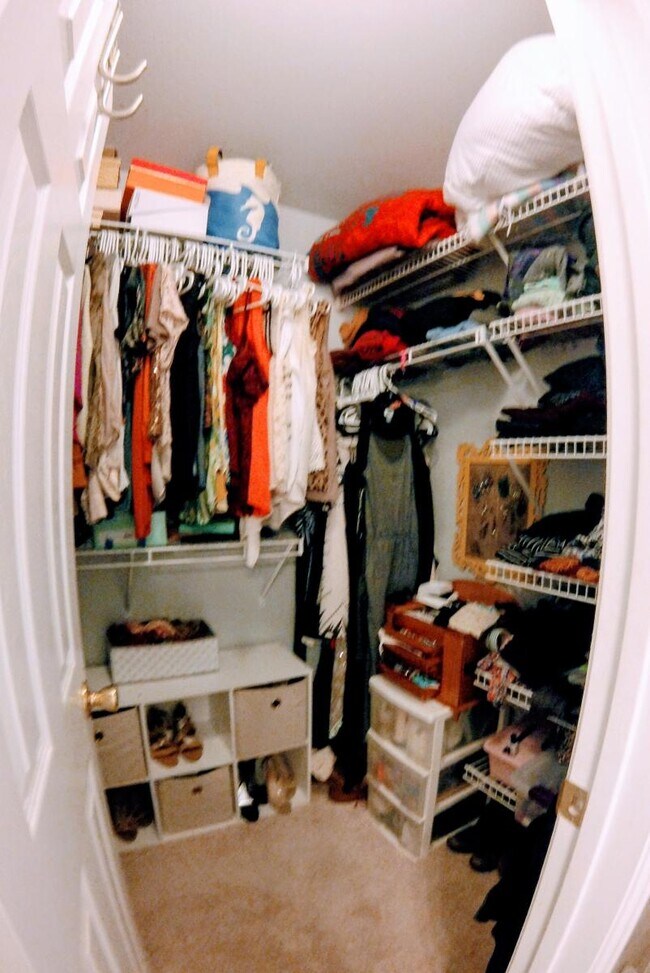 Bedroom 1 walk in closet - 2918 Yates St