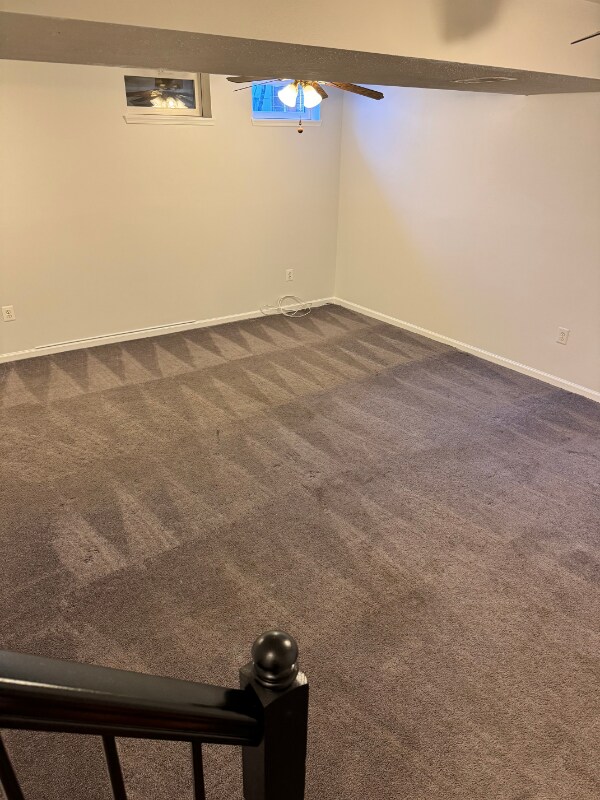 Building Photo - 5068 Bristle Cone Cir