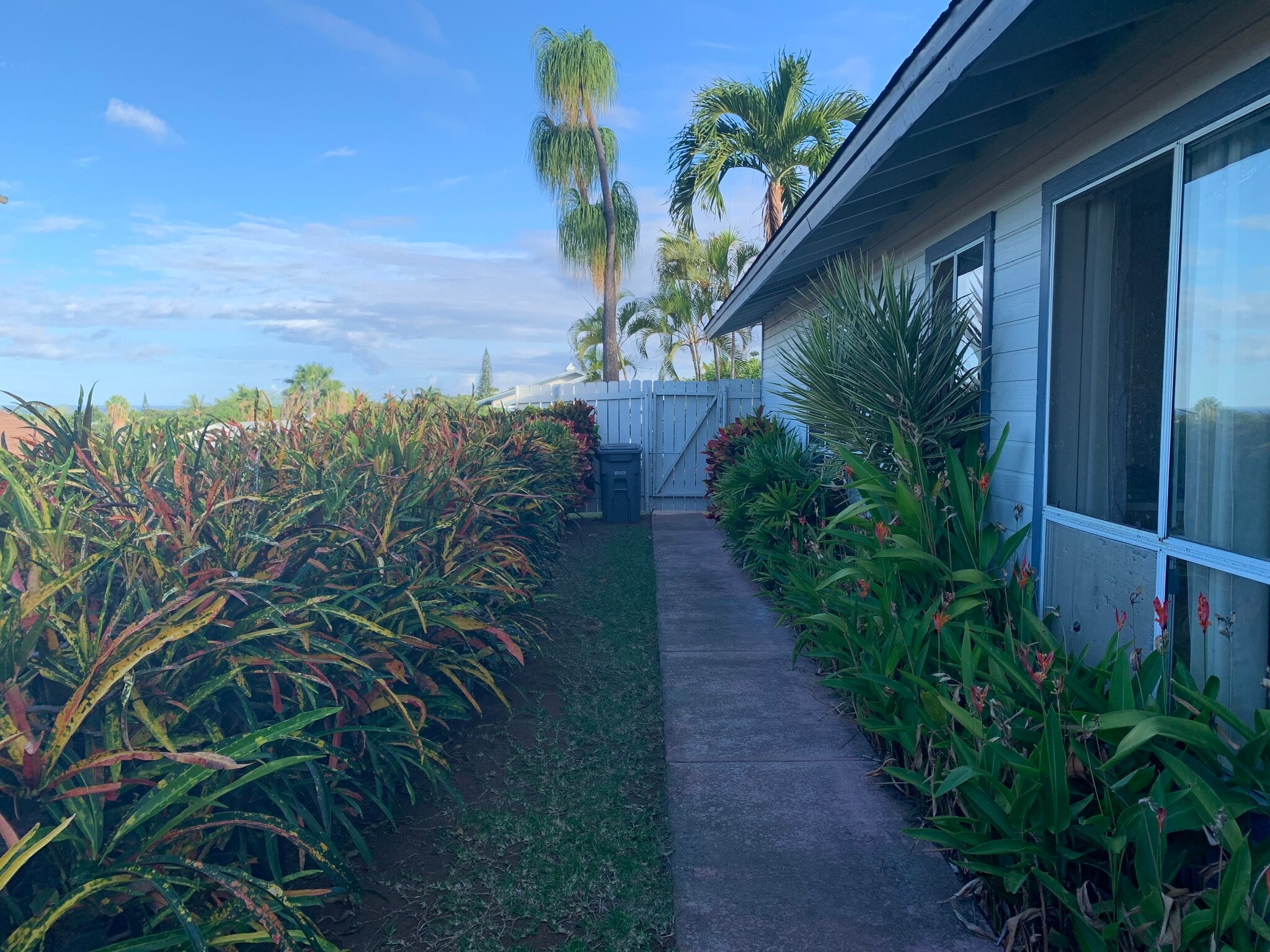 backyard - 76-251 Kanaka St