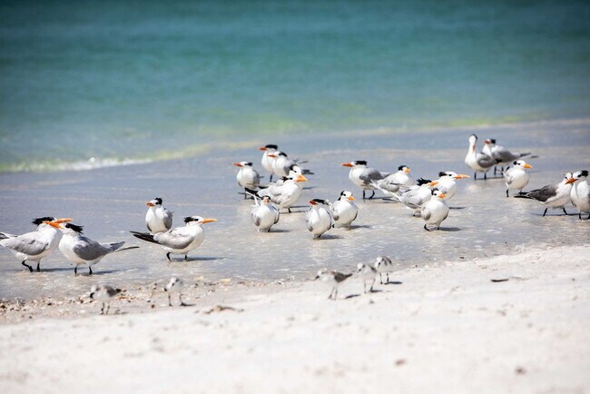 Building Photo - 11250 2nd St E