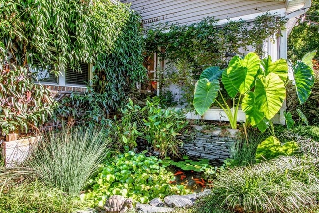 Building Photo - 111 River Birch Cir