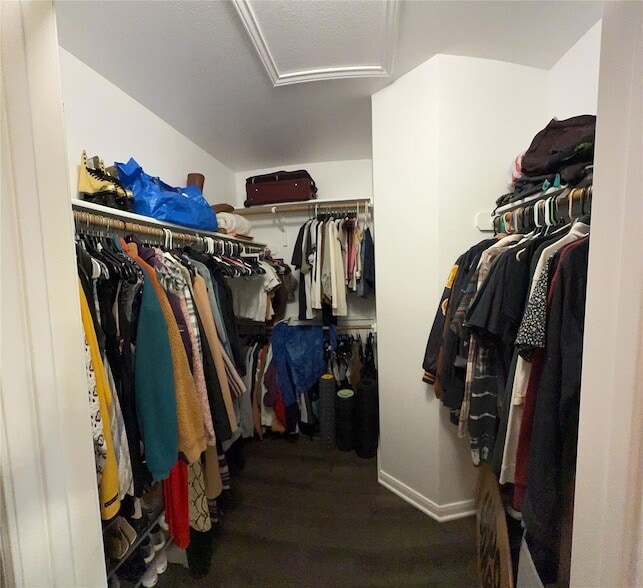 Building Photo - 541 Zebra Dr