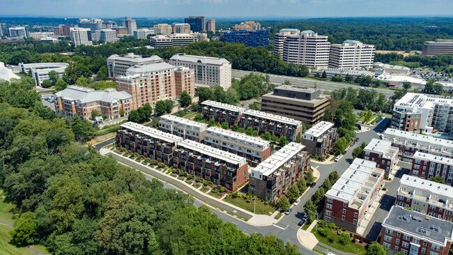 Building Photo - Luxury Reston Rental