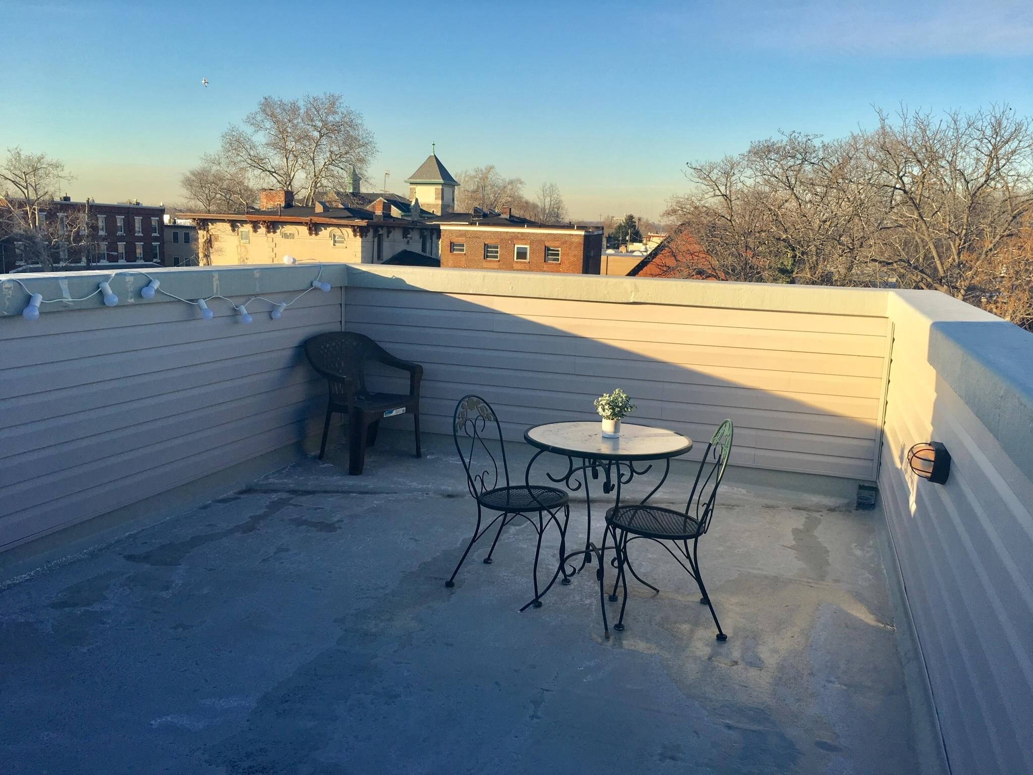 roof deck - 4239 Haverford Ave
