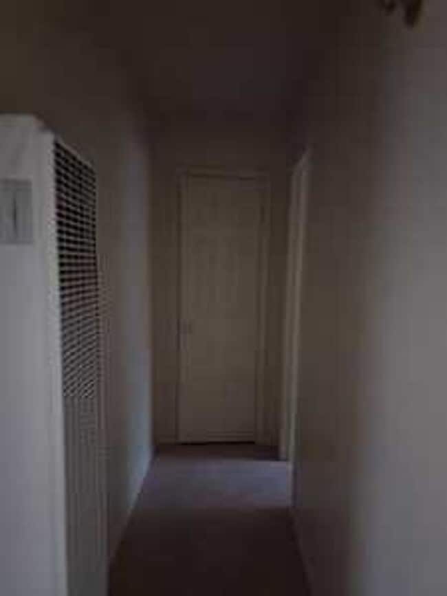 Building Photo - Leon Avenue - Nice Wood Cabinets