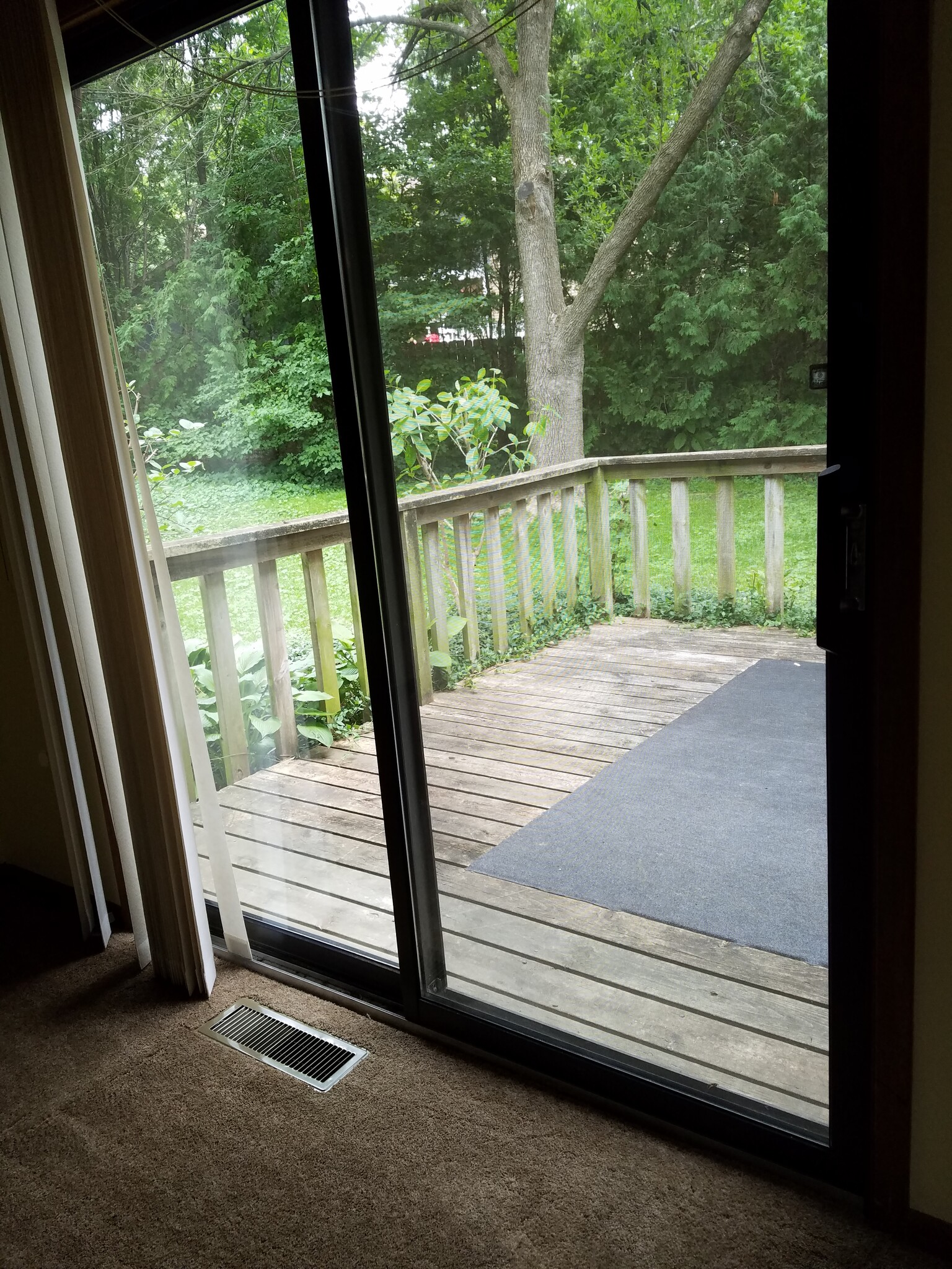 View of outside from living area - 1248 Dolen Pl