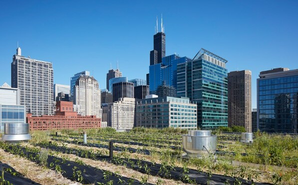 Building Photo - 156 N Desplaines St