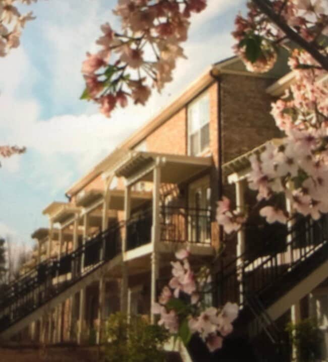 490 Shoals Rd 490 Shoals Rd Athens GA 30605