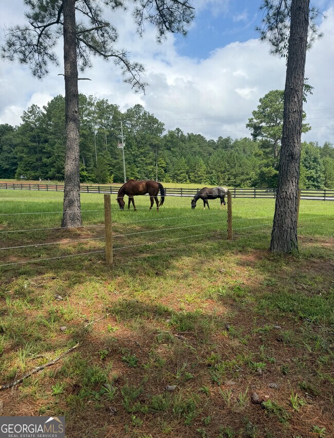 Building Photo - 950 Island Shoals Rd