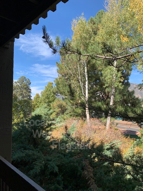 Building Photo - 5825 E Bear Paw Dr