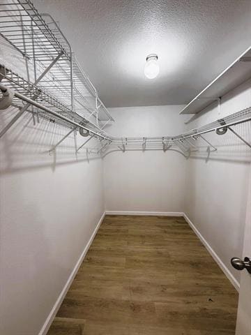 Building Photo - 1216 Pine Forest Dr