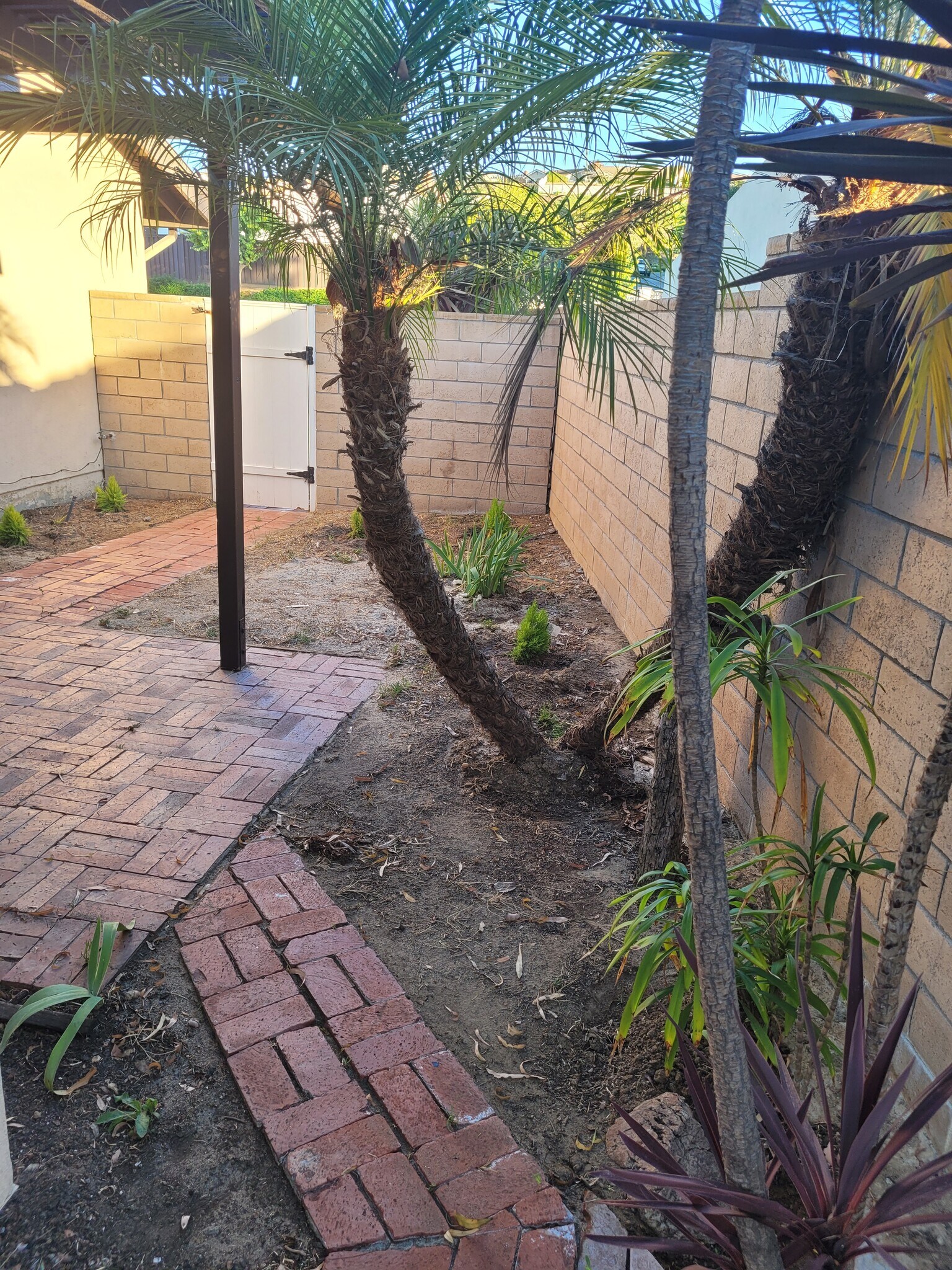 Building Photo - 111 Avenida Santa Anita