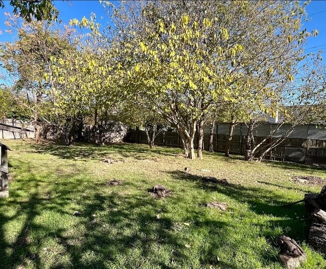 Building Photo - 1103 Lipan Trail