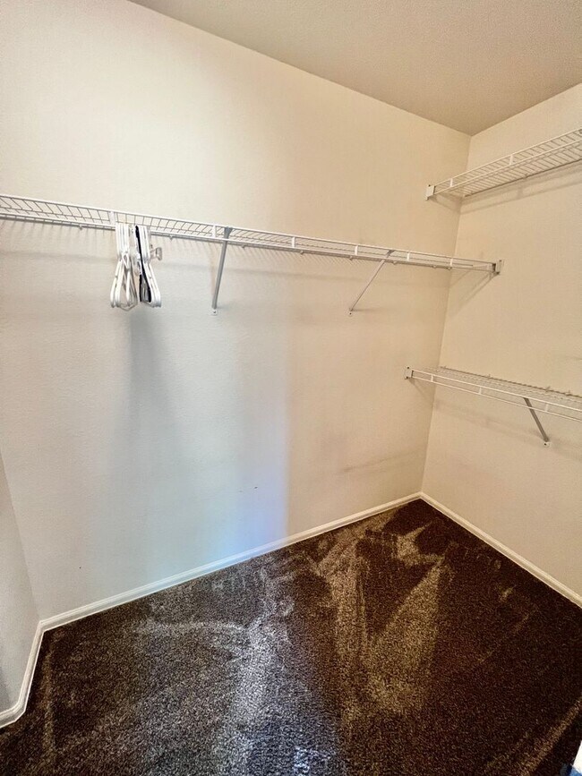 Building Photo - Beautiful 3 bed 2.5 Bath Home in East Loveland, CO!