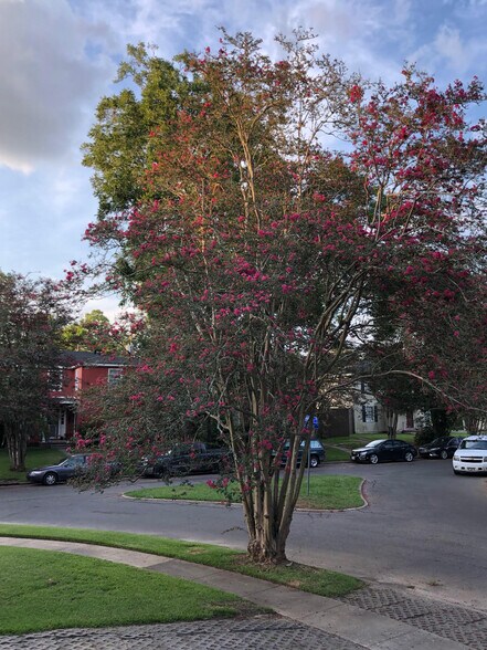 Building Photo - 810 Rittiner Dr