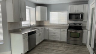 Building Photo - 1041 Cobalt Ln