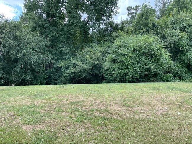 View from Back - 3370 Bridgeville Rd