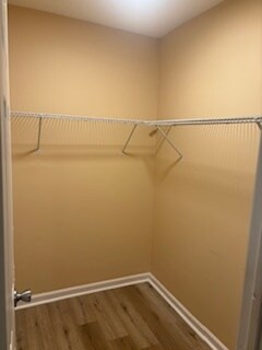 Master walk-in Closet - 966 W Grenada Ter