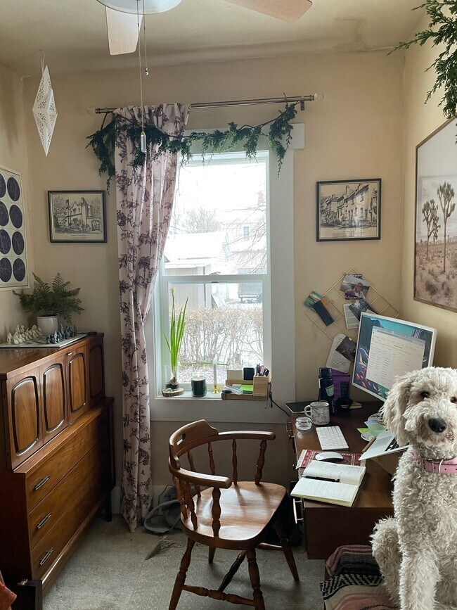 Building Photo - 417 E Magnolia St