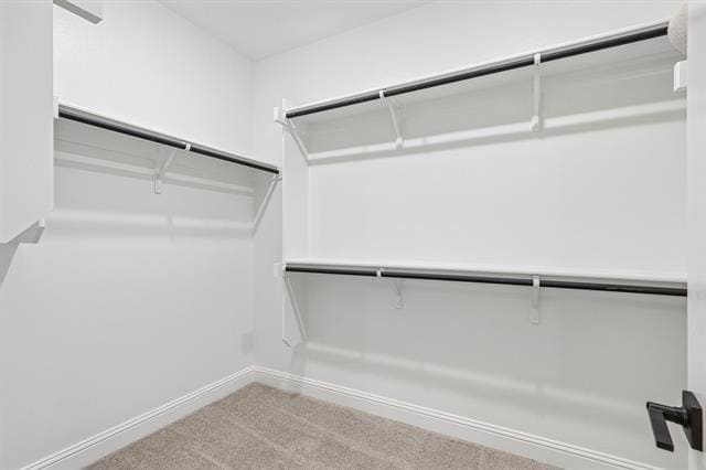 Building Photo - 716 Papyrus Dr