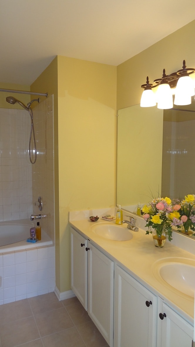 Master Bath - 2427 Clover Field Cir