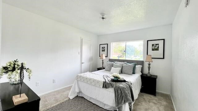 Building Photo - 1803 Ripple Creek Dr