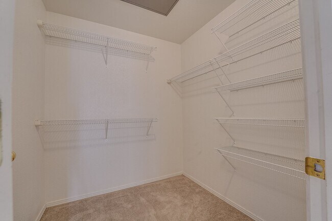 Building Photo - Beautiful 3 Bed, 2 Bath Condo in NW Fort Collins!