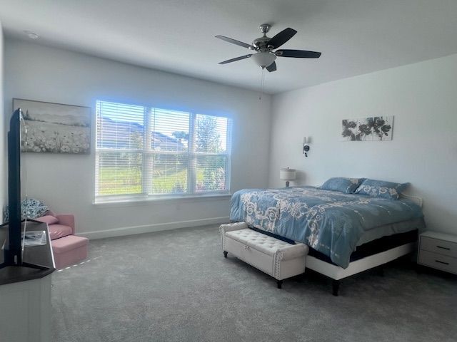 Building Photo - 8101 Wild Blue Ter