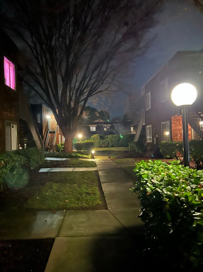 Night Lights: Walkway - 1177 Honey Trl