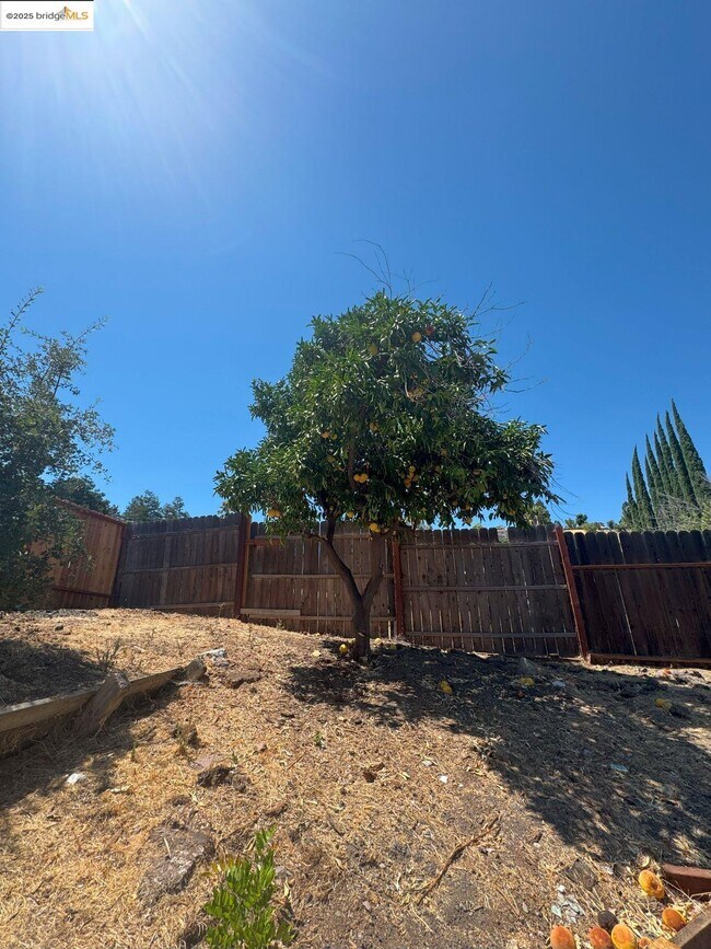 Building Photo - 3323 Blythe Dr