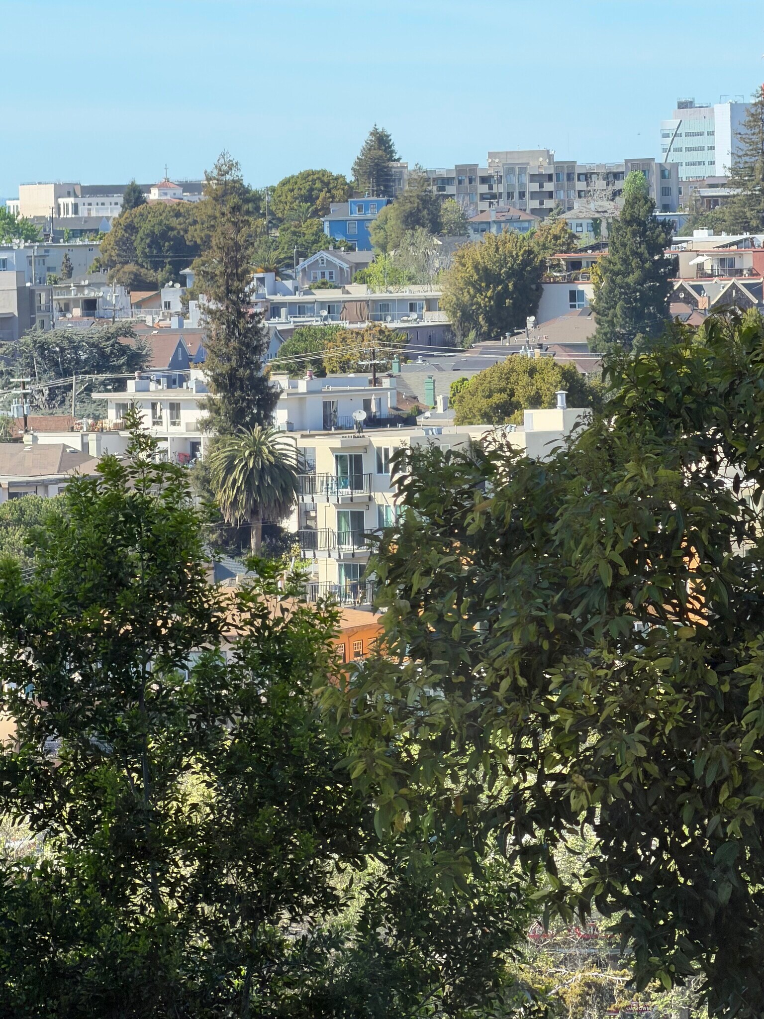 Building Photo - 500 Merritt Ave