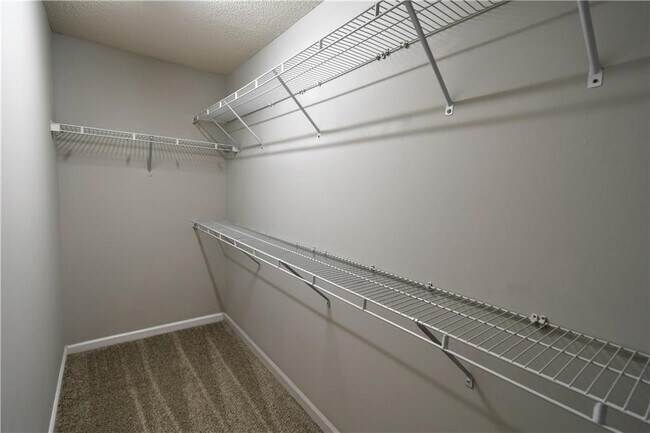 Building Photo - 3905 Timbercreek Cir