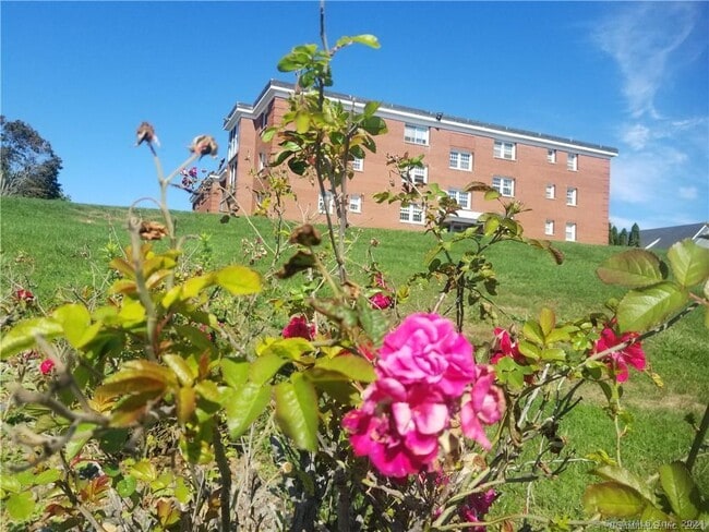 Building Photo - 185 Melba St