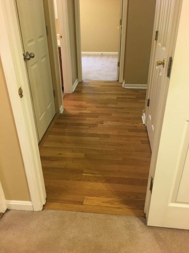 Building Photo - **New Paint**   **New Carpet**  Ready for YOU!!