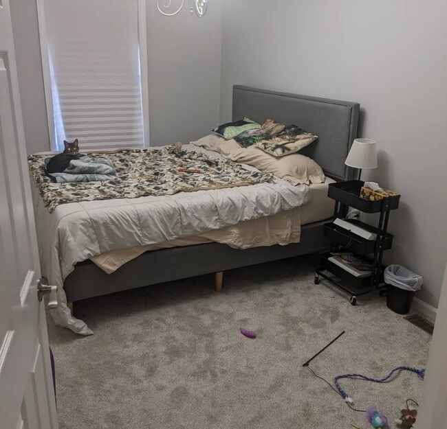 Building Photo - 803 Begonia Ct