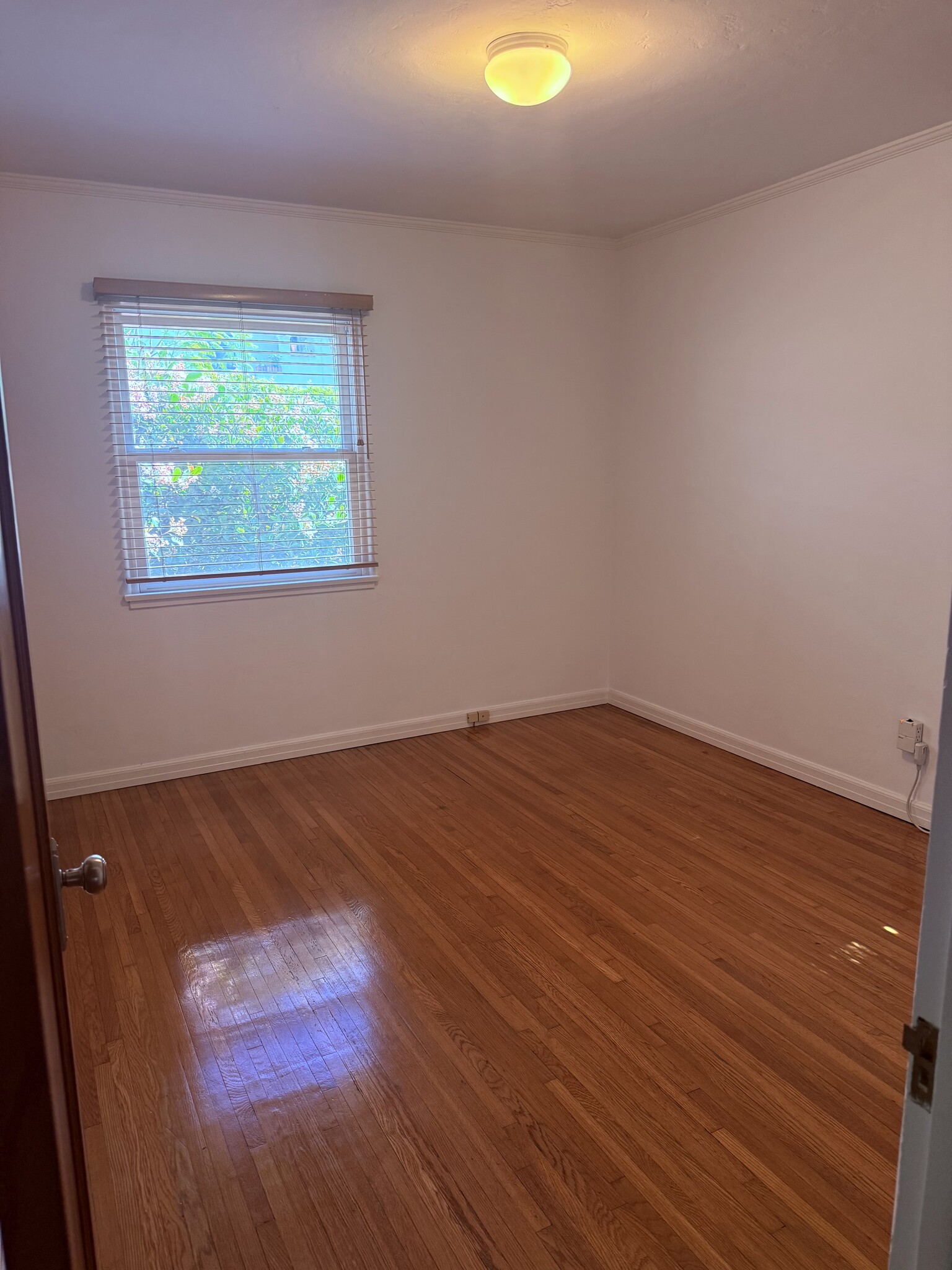 Building Photo - 1023 S Stanley Ave